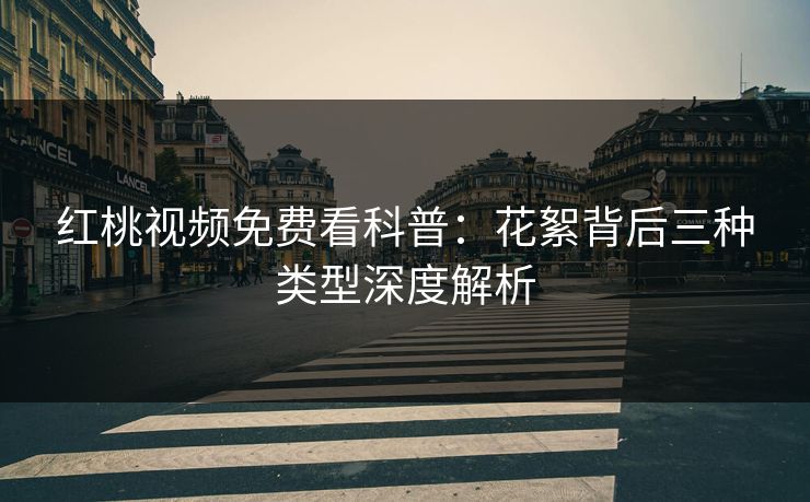 红桃视频免费看科普：花絮背后三种类型深度解析