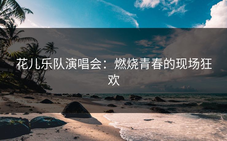 花儿乐队演唱会：燃烧青春的现场狂欢
