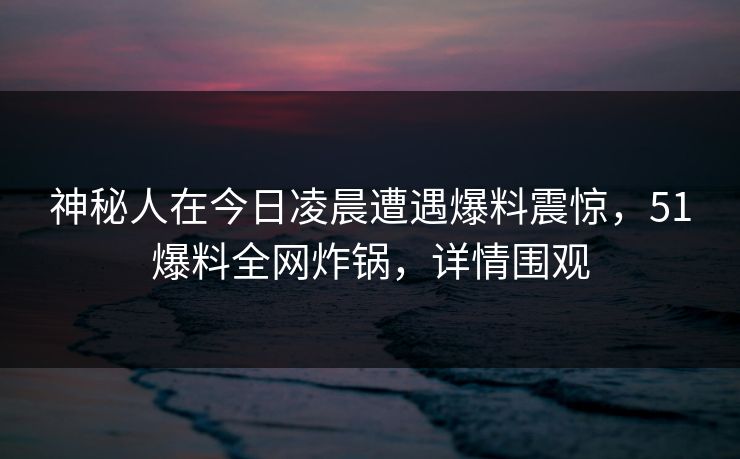 神秘人在今日凌晨遭遇爆料震惊，51爆料全网炸锅，详情围观