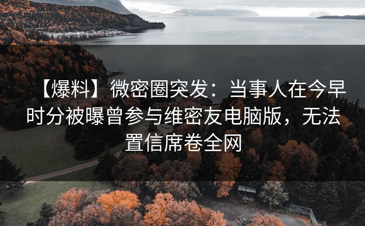 【爆料】微密圈突发：当事人在今早时分被曝曾参与维密友电脑版，无法置信席卷全网