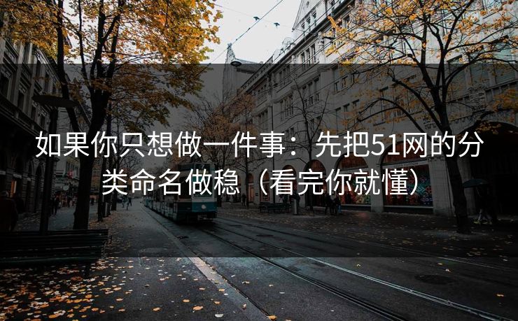 如果你只想做一件事：先把51网的分类命名做稳（看完你就懂）
